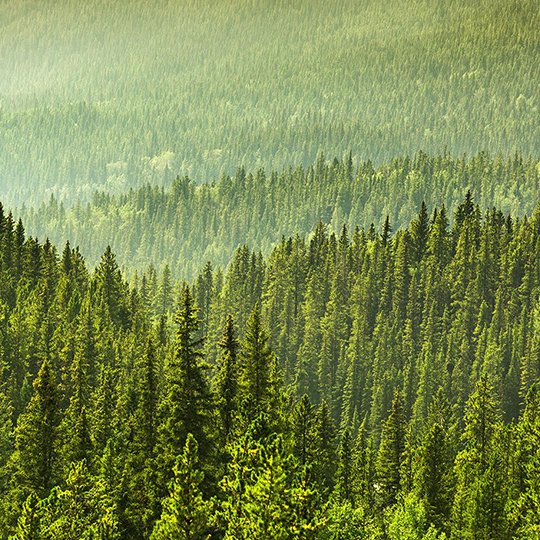 Working toward a sustainable future world